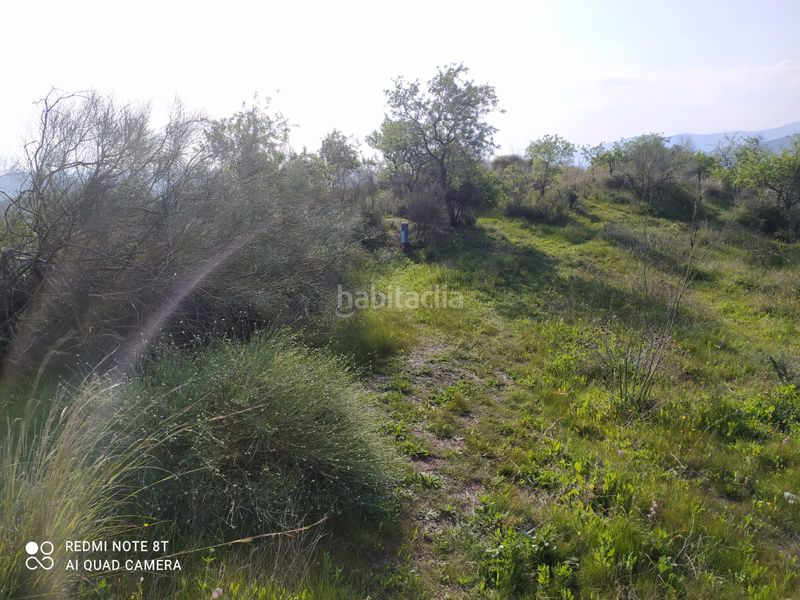 Foto 73b1d5e9-1853-464f-b2fc-9b263b178416. Finca rústica a Nueva Aljaima - Las Tres Leguas - Los Mondeños Cártama