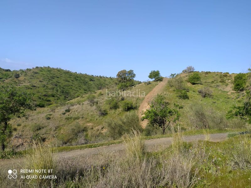 Foto 9937b63d-9110-4c45-af35-3a62910b9fcd. Finca rústica a Nueva Aljaima - Las Tres Leguas - Los Mondeños Cártama