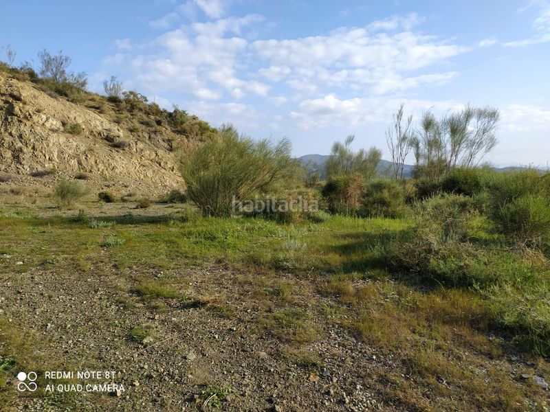 Foto a7e89068-c8cf-447b-8510-bee14c4529f7. Finca rústica a Nueva Aljaima - Las Tres Leguas - Los Mondeños Cártama