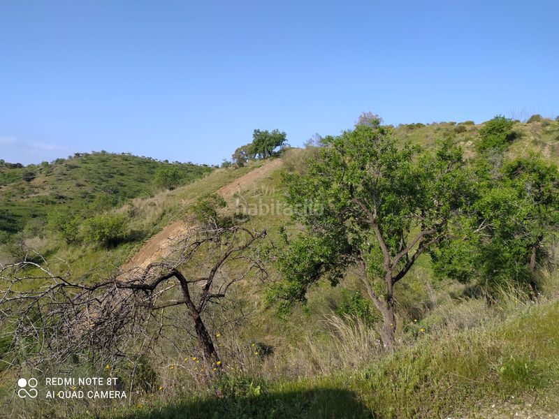 Foto ddd709a5-c104-415e-9c72-0340b6244b3c. Finca rústica a Nueva Aljaima - Las Tres Leguas - Los Mondeños Cártama