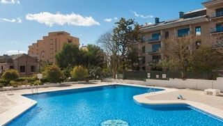 Monolocale  Calle luis vives
