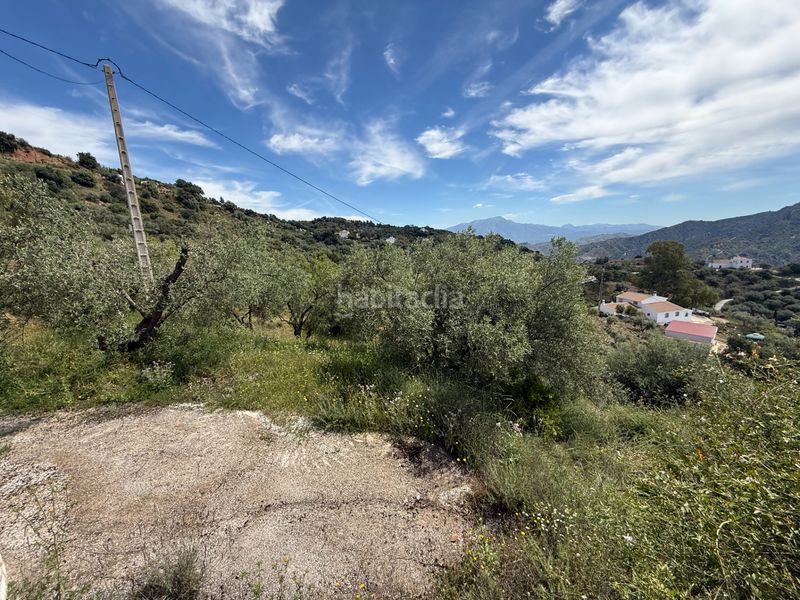 Foto 7a96f524-9a81-4965-b681-cf9cb5cec8c1. Chalet en Colmenar