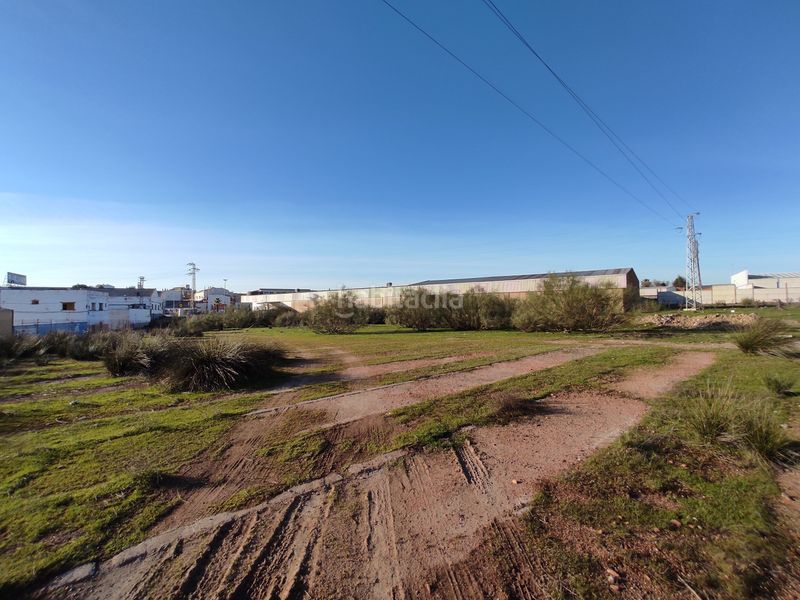 Foto 79186ceb-5d41-4223-b174-6489fa2a0065. Nau industrial a Bailén