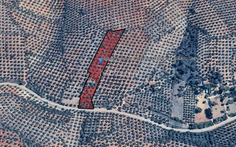 Foto 0a0cbaac-9490-4292-94ca-5bba459ee60b. Landgut in Montizón