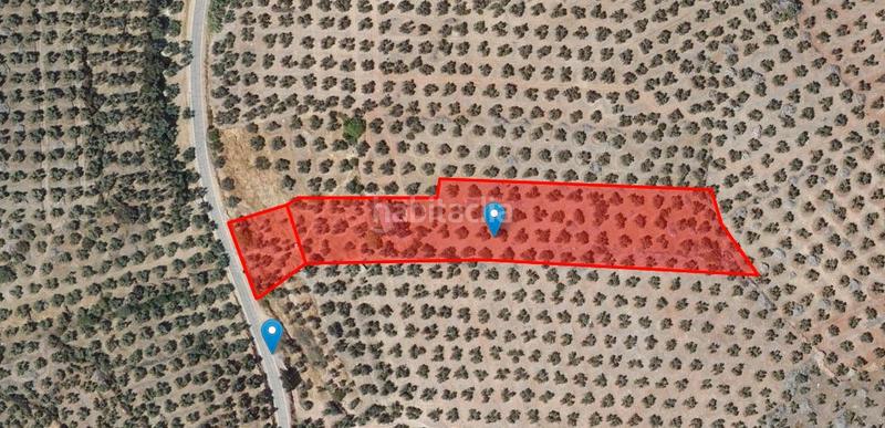 Foto 4329f42c-83cf-4bd2-8e84-6855e810c8f5. Rural plot in Montizón