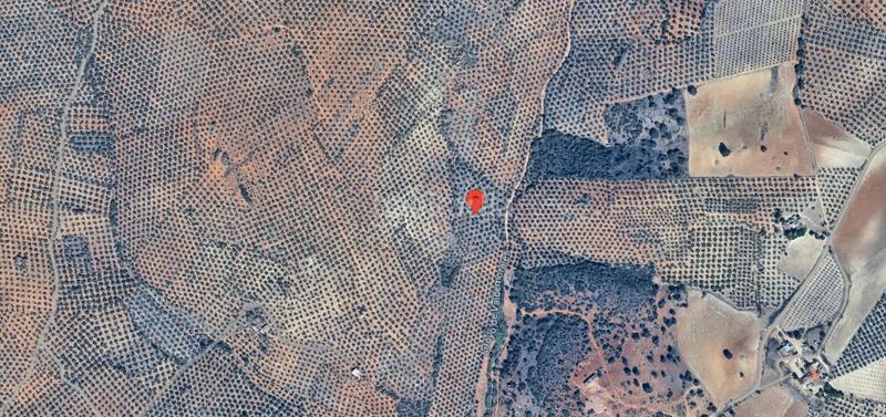 Foto 372ee87f-7894-414d-ba2f-c81dc62bee32. Finca rústica a Santisteban del Puerto