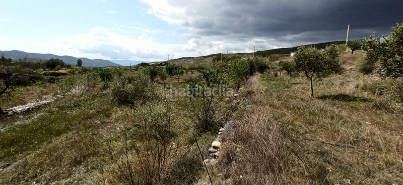 Foto ca0cbc7c-cdc9-4b10-a0f8-fc79e28e26be. Finca rústica terreno parcela en Senés