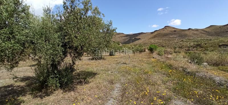 Foto d12a1b87-e7e1-4620-bd14-d8c4e432a1ab. Finca rústica terreno parcela en Senés