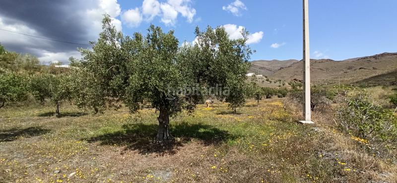 Foto fdc680aa-db38-4b6c-b411-b7b2c6fd0701. Finca rústica terreno parcela en Senés