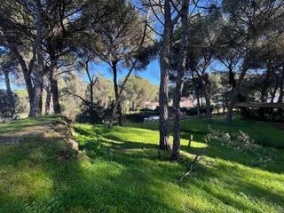 Terreno residencial en Cerro Muriano. Parcela en cerro muriano