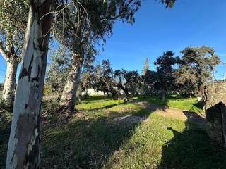 Terreny residencial  Avenida de san josé de calasanz. Amplia parcela en venta en zona brillantesansueña, cordoba