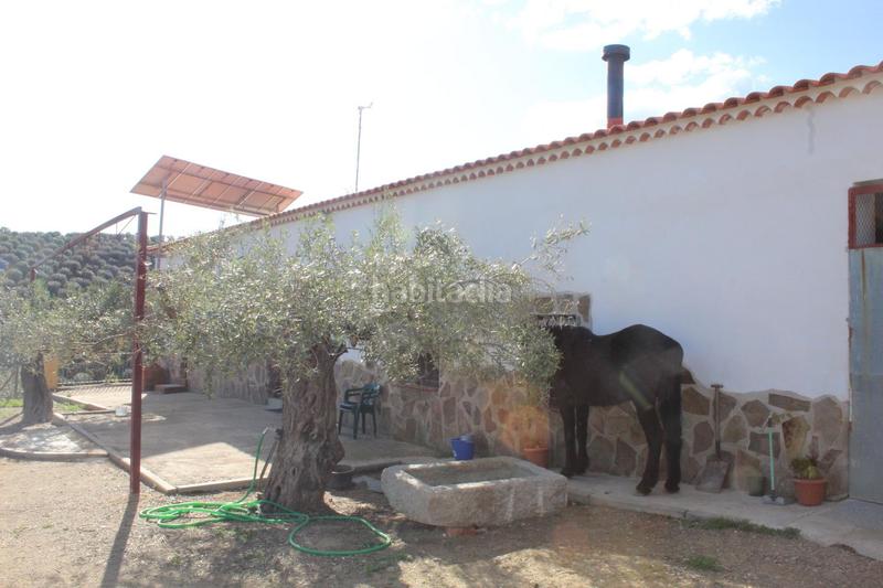 Foto 45a6dff7-7332-47b6-aa73-c0b8fb7421e0. Masía magnifico olivar con casa, cochera para aperos y piscina entre villaharta y . en Pozoblanco