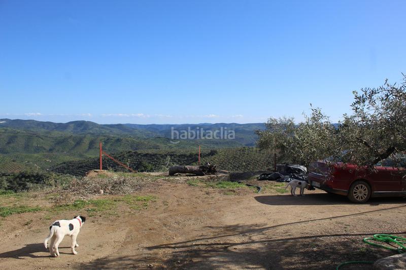 Foto a3ecbbb2-bedb-4549-8a14-8f914fc7fa29. Masía magnifico olivar con casa, cochera para aperos y piscina entre villaharta y . en Pozoblanco