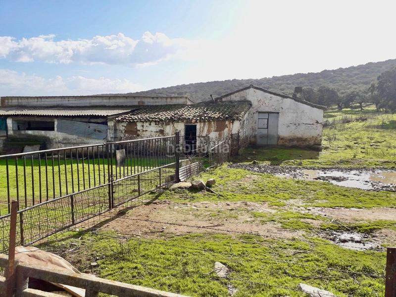 Foto 0ae56b04-c44e-4cc3-a859-8139e88d1e2d. Fondo rustico in Fuente Obejuna