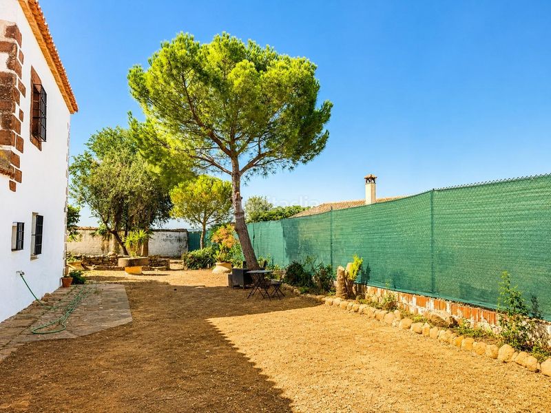 Foto ddb1074d-1a4f-42b2-91ae-2198c59a51e6. Casa cortijo con encanto y olivar en producción a solo 2 km en Montoro