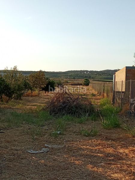 Foto 1c4499a7-0ee7-49b9-90e5-132da259bd1c. Finca rústica a Almodóvar del Río