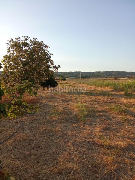Foto 2ce000ac-ebf4-4cec-a0f1-943185edb623. Finca rústica a Almodóvar del Río