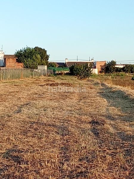 Foto a7e803e5-9383-405f-9f06-26e6bd69fae8. Finca rústica a Almodóvar del Río