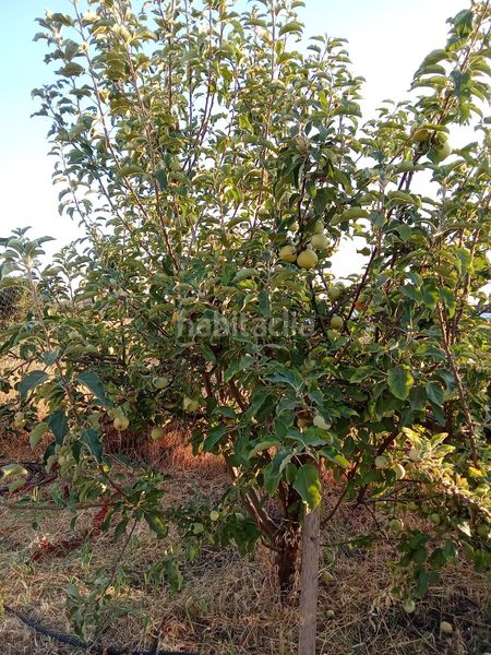 Foto ae03910b-e4ee-4e9b-8083-eede5b497431. Finca rústica a Almodóvar del Río