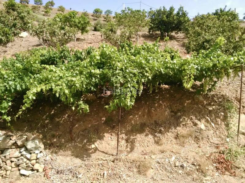 Foto baddfb76-1e1d-4cdc-a5c0-742492f729fb. Casa in Benagalbón Rincón de la Victoria