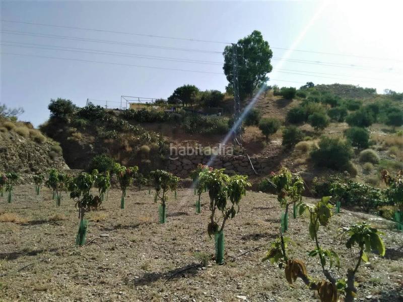 Foto bf7bfcbf-11ef-4596-a44c-70e4054a0955. Casa in Benagalbón Rincón de la Victoria