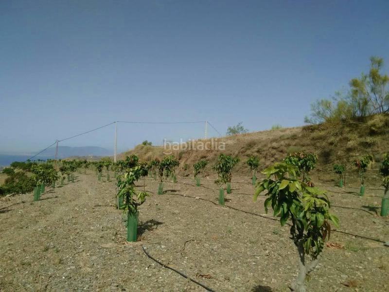 Foto c95c19cd-edc8-440e-97cd-d28e14c18d81. Casa in Benagalbón Rincón de la Victoria