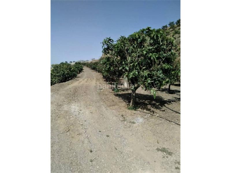 Foto eae5d0fe-9717-4340-81de-8d9ae3d24dcc. Casa in Benagalbón Rincón de la Victoria