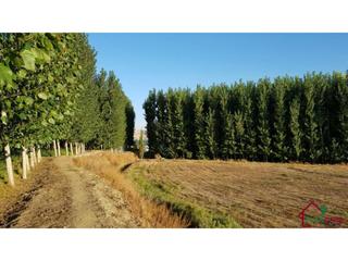 Finca rústica  Pol 3, parcelas 23,28,30. Finca rustica en venta en purullena