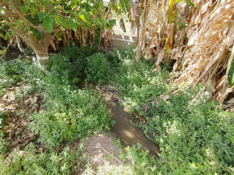 Foto 1047877e-e79d-4968-a750-38e297efbdf4. Finca rústica fincas de chirimoyas y frutales en Lobres Salobreña