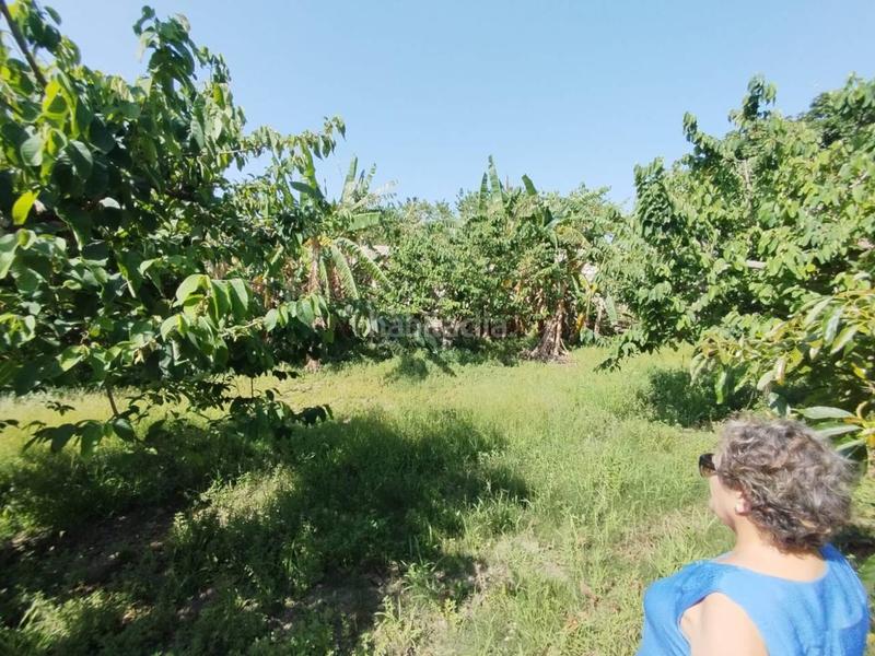 Foto 13cdfc24-4e33-42c0-922c-b4e8bc580452. Finca rústica fincas de chirimoyas y frutales en Lobres Salobreña