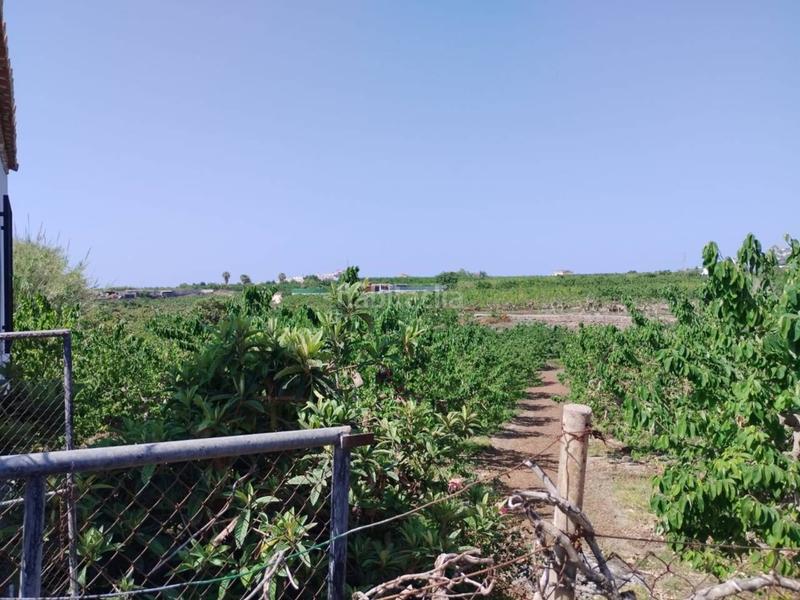 Foto 1c31c227-48fe-4b16-aba4-eb828c098ee9. Finca rústica fincas de chirimoyas y frutales en Lobres Salobreña