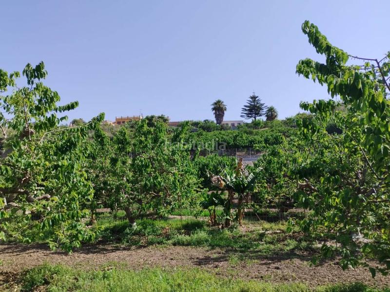 Foto 312f7f59-9816-464c-8f0b-d6232359f00d. Finca rústica fincas de chirimoyas y frutales en Lobres Salobreña