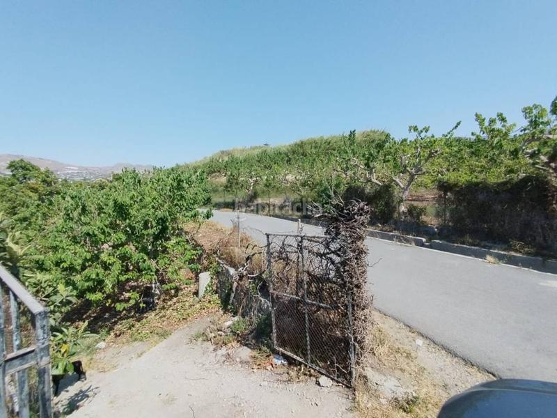 Foto 3dbdbb35-b82c-411b-b240-e252c1396ccb. Finca rústica fincas de chirimoyas y frutales en Lobres Salobreña