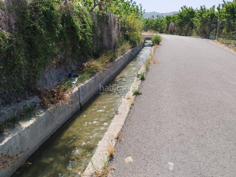 Foto a7e240fb-be3e-48cf-80e1-c586d875bb94. Finca rústica fincas de chirimoyas y frutales en Lobres Salobreña