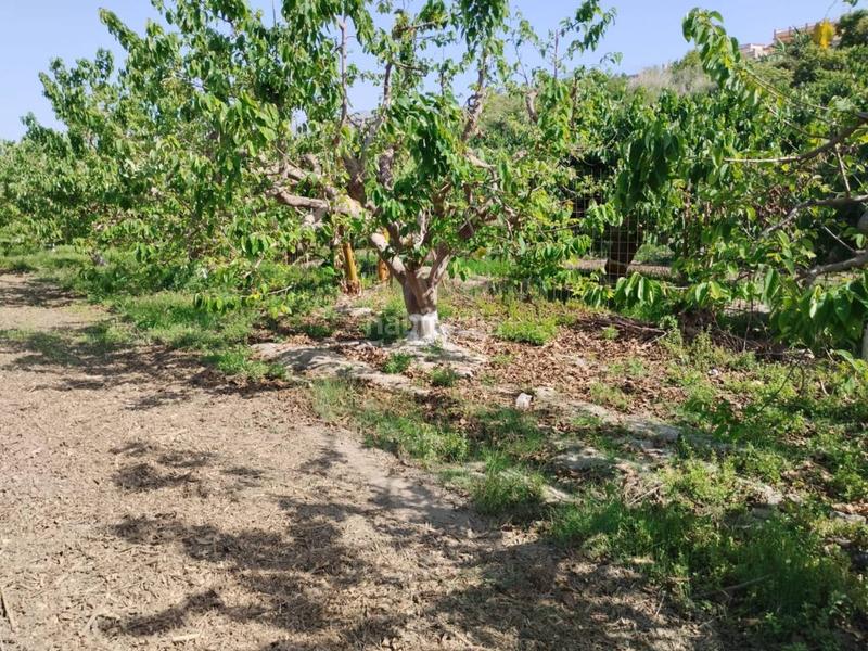 Foto b47fe563-698e-439c-a855-09fac809719e. Finca rústica fincas de chirimoyas y frutales en Lobres Salobreña
