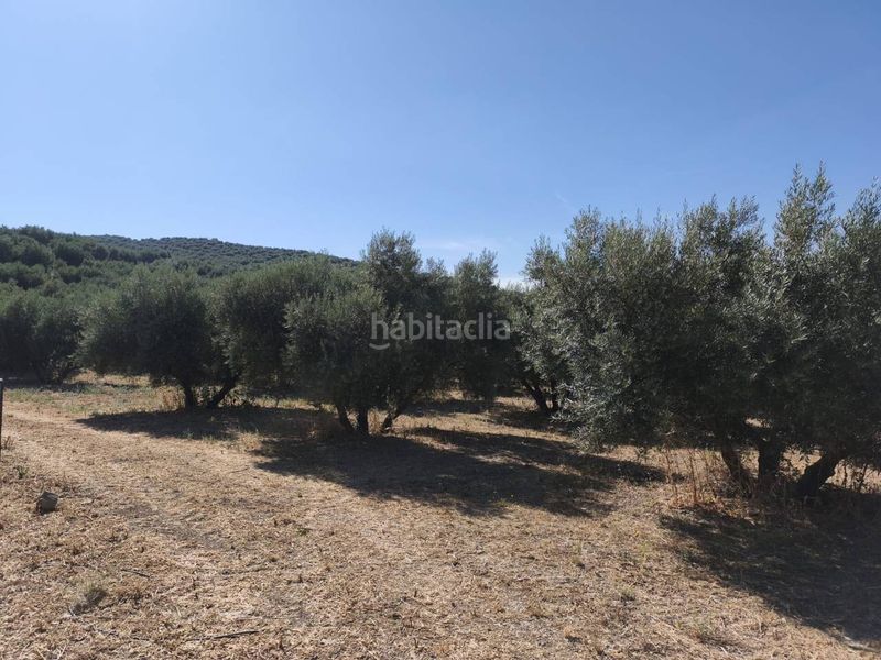 Foto 415b1aa0-d682-457a-a98e-ecf0e47910a8. Finca rústica a calle la sauceda 253 a Montefrío