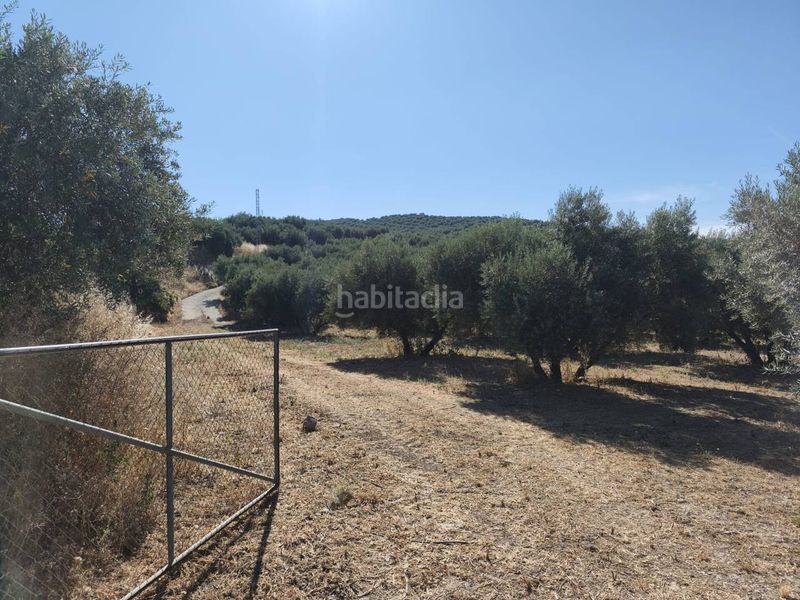Foto fdc6a8ac-fe82-4998-be90-e94da6c08e44. Finca rústica a calle la sauceda 253 a Montefrío