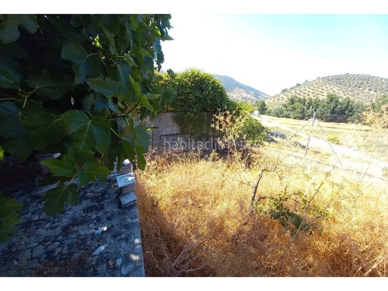 Foto 0cd0a362-b319-4d21-b850-eecaa957c299. Casa adosada  en venta con jardín en Benalúa de las Villas