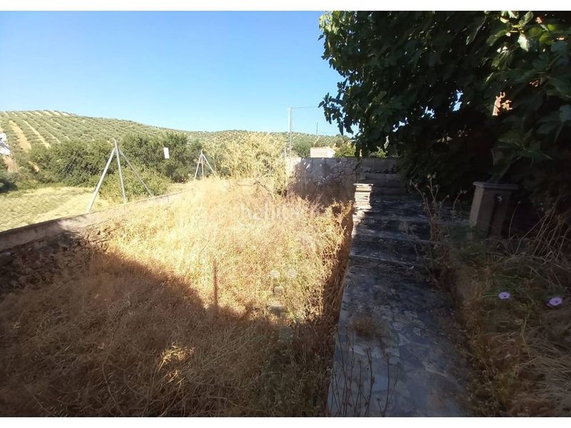 Foto 20c8c7a3-739d-44ab-bfb7-ac2124c34ca5. Casa adosada  en venta con jardín en Benalúa de las Villas
