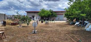 Terrain résidentiel  Camino de palomares