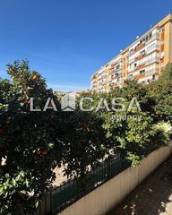 Flat  Calle primavera