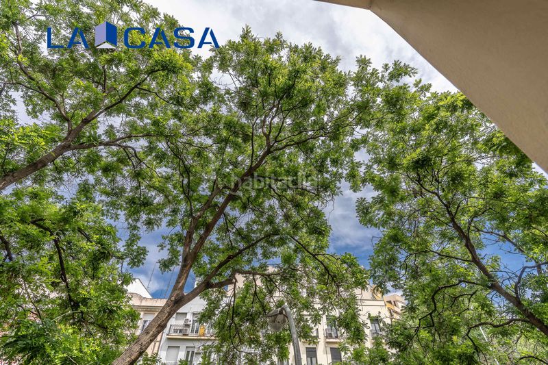 Foto f1b6eae0-5963-4465-aae1-b1c733739445. Piso en Chopera Madrid