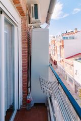 Pis  Calle alcaudón