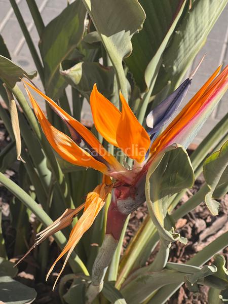 Foto 3344a927-2ca6-4b5c-986e-0d176828bbb9. Oficina a calle lobero 28b a Ejido centro Ejido (El)