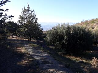 Propriété à Plaza jaime calatrava 8. En venta finca rústica forestal cinegética  con cortijo en sierr