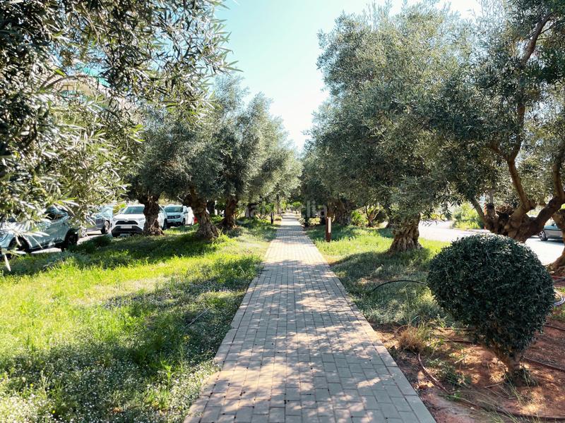 Foto 00225564-cf96-4bec-93d3-b789ea1a3d61. Solar industrial en calle observatorio calar alto 13p ¡oportunidad en el parque tecnológico! en Almería