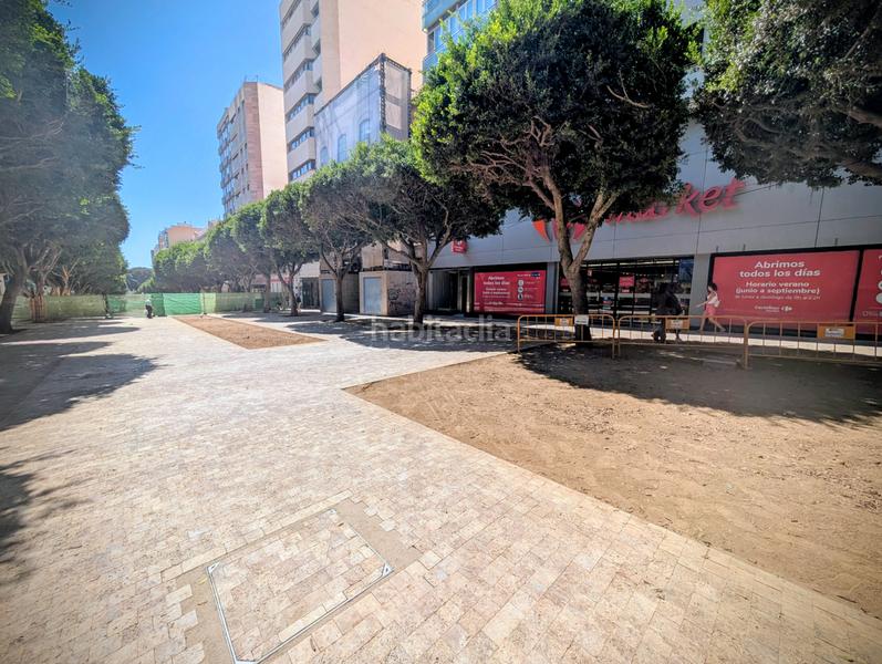 Foto 0b916304-fbf8-4265-a191-0800c9620df8. Pis a paseo de Almería 16 a Centro Almería