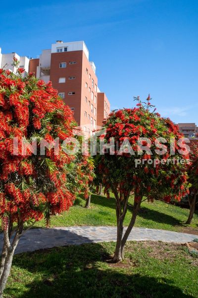 Foto e790d8ba-22ff-46ea-82b9-d348eea1a2de. Pis amb calefacció aparcament piscina a El Ingenio Almería