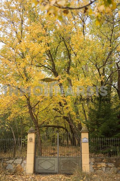 Foto 0bde8917-42e3-4830-a40c-259c25a341c4. Casa amb aparcament a Abrucena