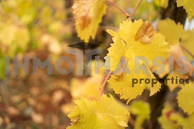 Foto 10df8f6b-55d6-4941-91c5-f5e00f887e0f. Casa amb aparcament a Abrucena
